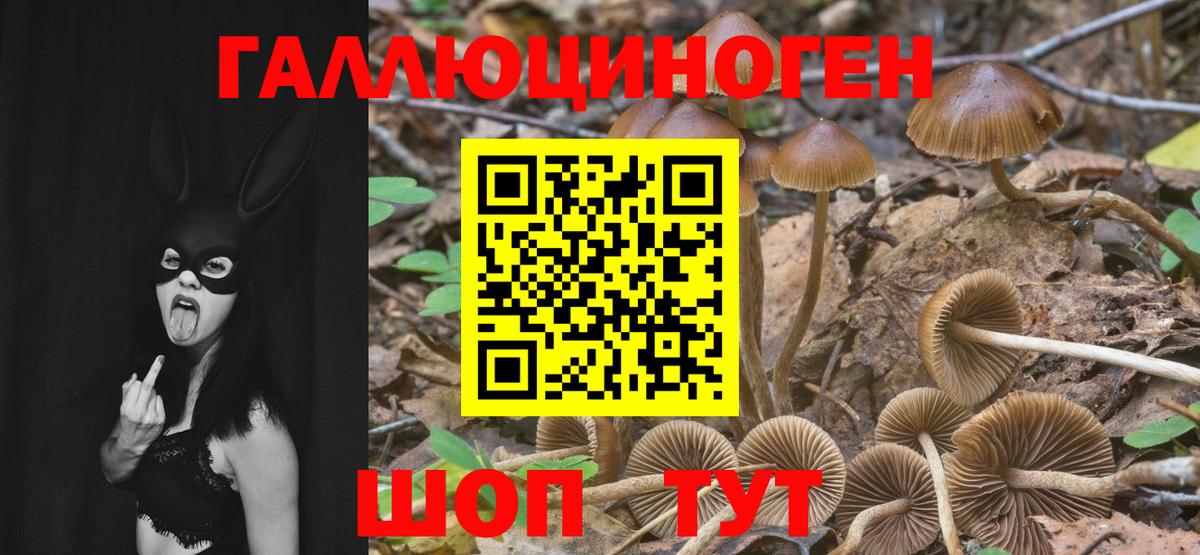 Галлюциногенные грибы MAGIC MUSHROOMS  Вход с VPN  Галлюциногенные грибы Magic Shrooms  Старая Купавна 