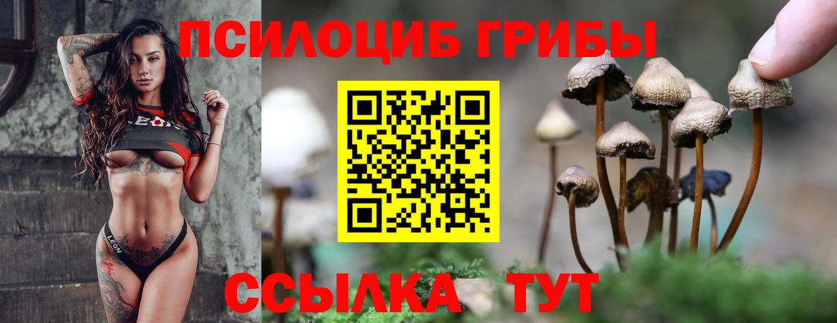 Галлюциногенные грибы MAGIC MUSHROOMS Старая Купавна